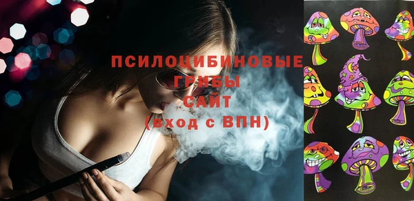 ALPHA-PVP Горнозаводск